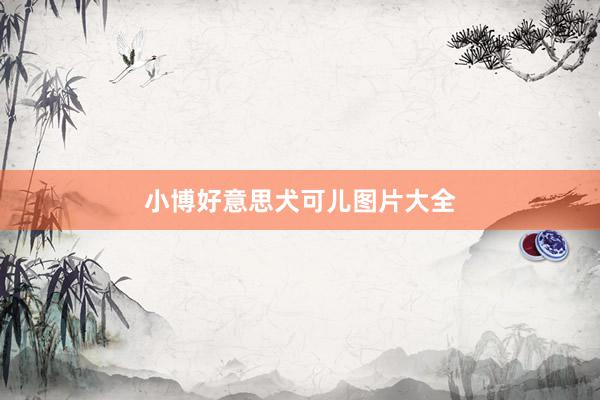 小博好意思犬可儿图片大全