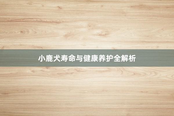小鹿犬寿命与健康养护全解析