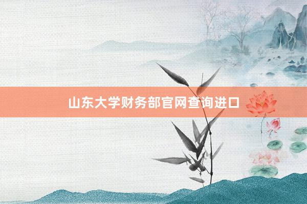 山东大学财务部官网查询进口